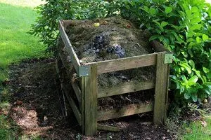 compost dans le jardin