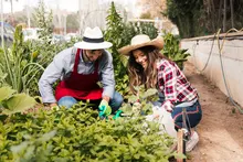 Pourquoi avoir un potager en 2023 ?