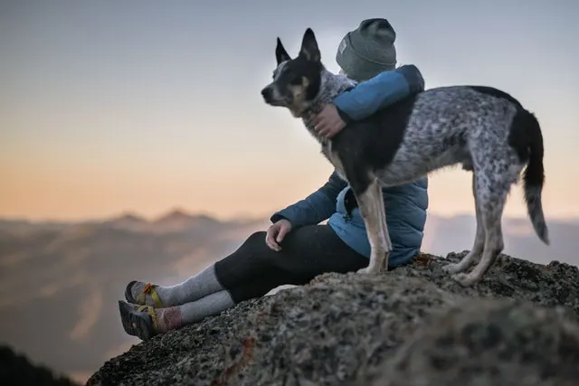 Combien coûte l’adoption d’un chien ?